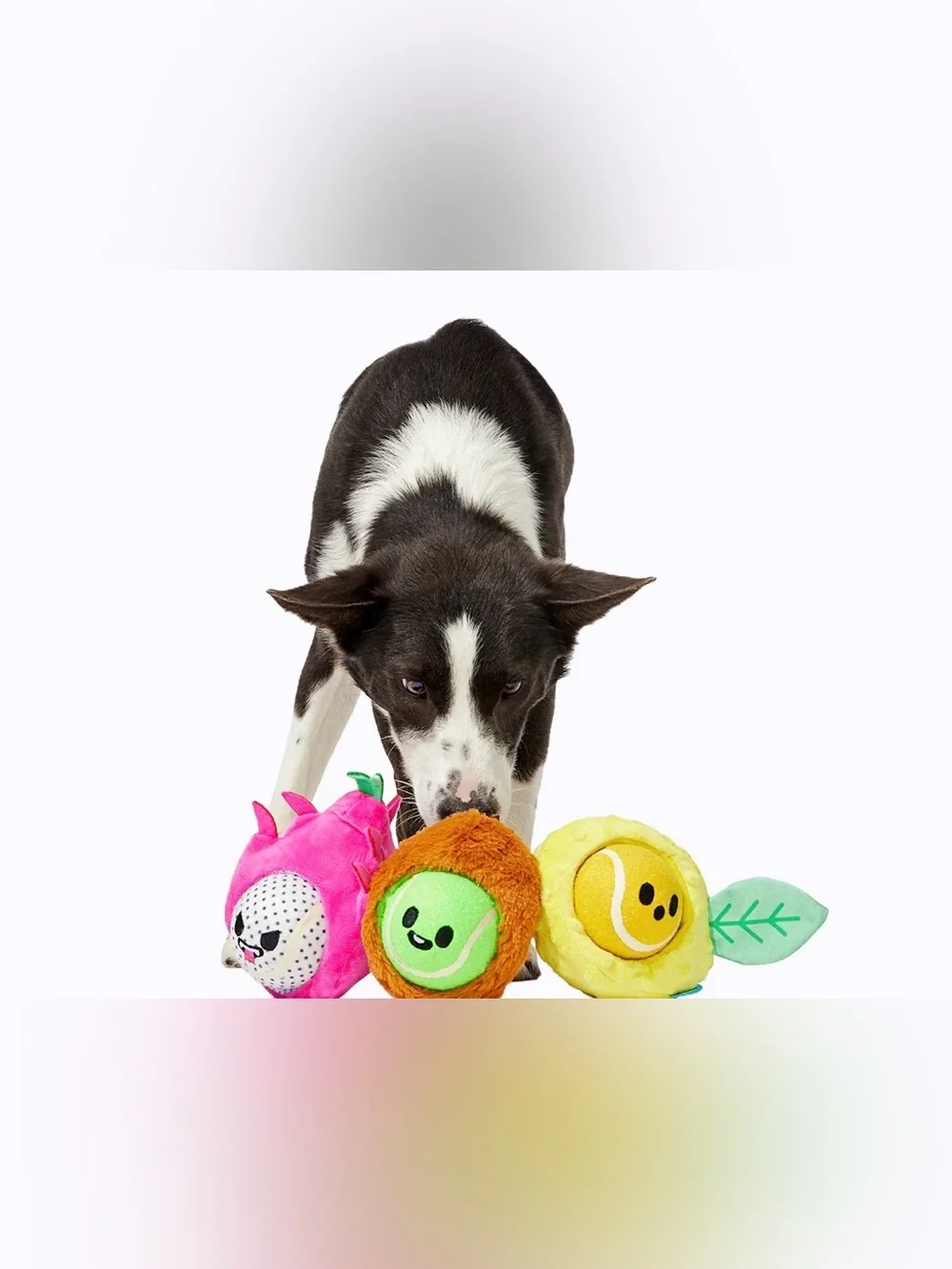 Bark Box M-L Plush ultimate Dog Joy 6 Toys in 1 Plush Dog Toy Set NEW Balls & cr